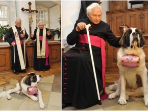 Iglesia Católica, san bernardo perro